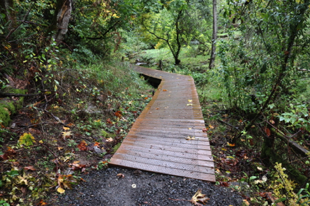 Gravel surface leaving boardwalk